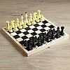 3621675 шахматы Шахматы гроссмейстерские